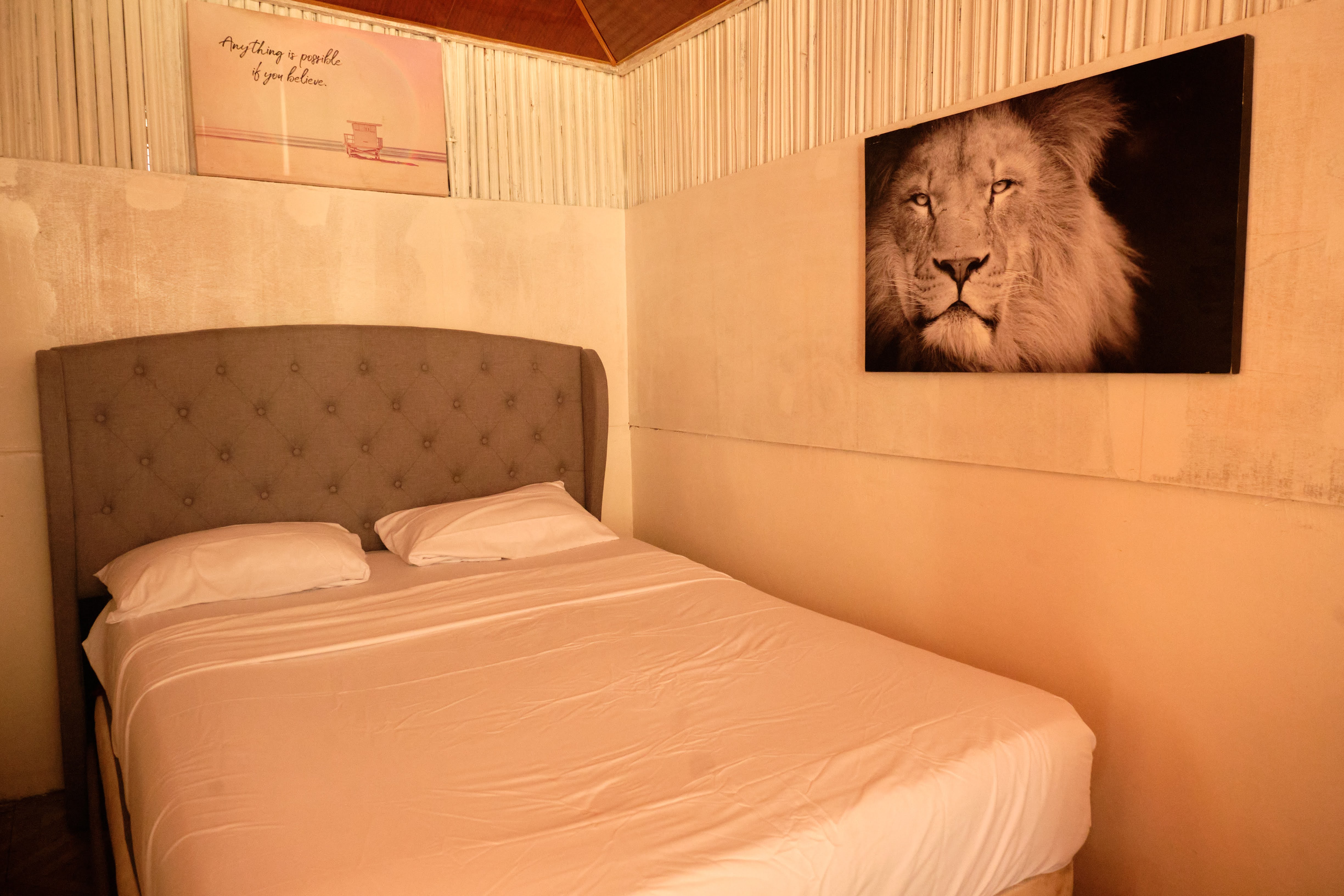 ESSENTIAL ROOM